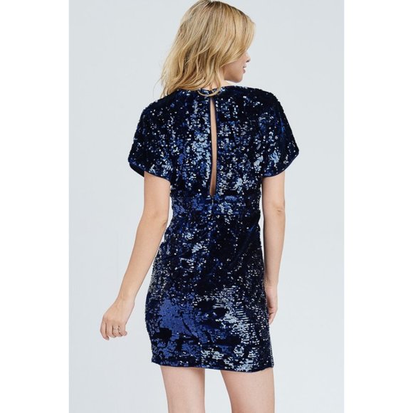 Navy Deep V-Neck Sequins Mini Dress - Picture 7 of 7